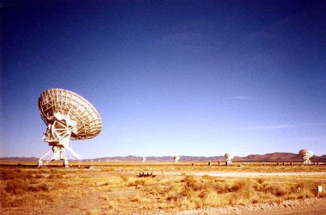 dish